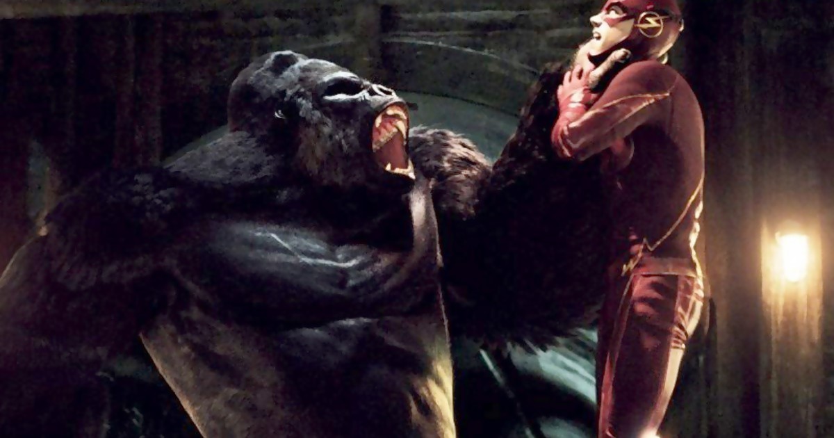 the flash season 3 gorilla grodd Gorilla Grodd Confirmed For The Flash Season 3